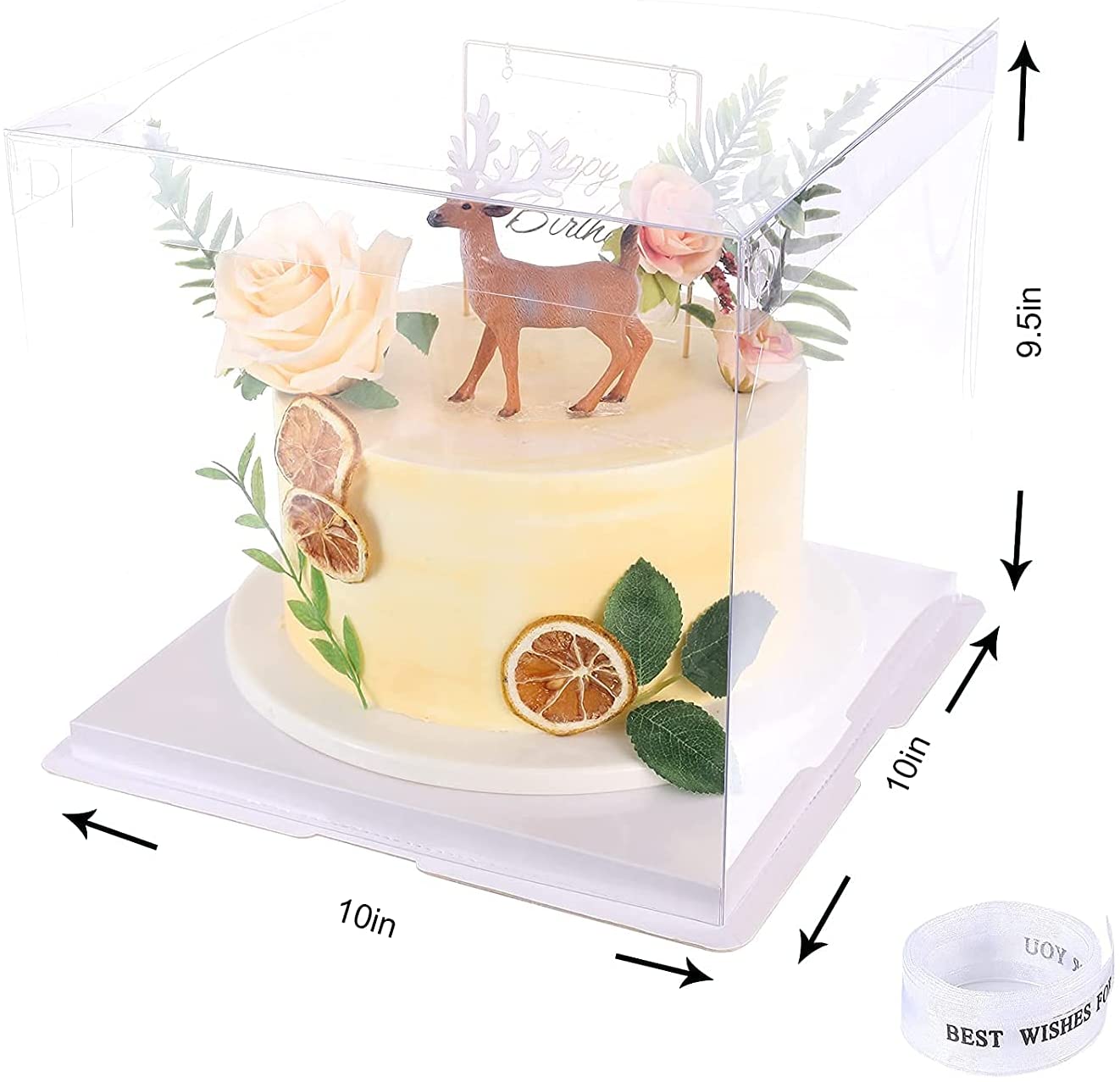 Clear Cake Box Perfect for Birthdays, Weddings, Anniversaries, Etc. - 6" 21x21x17
